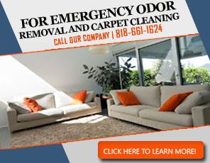 Blog | Carpet Cleaning La Crescenta, CA